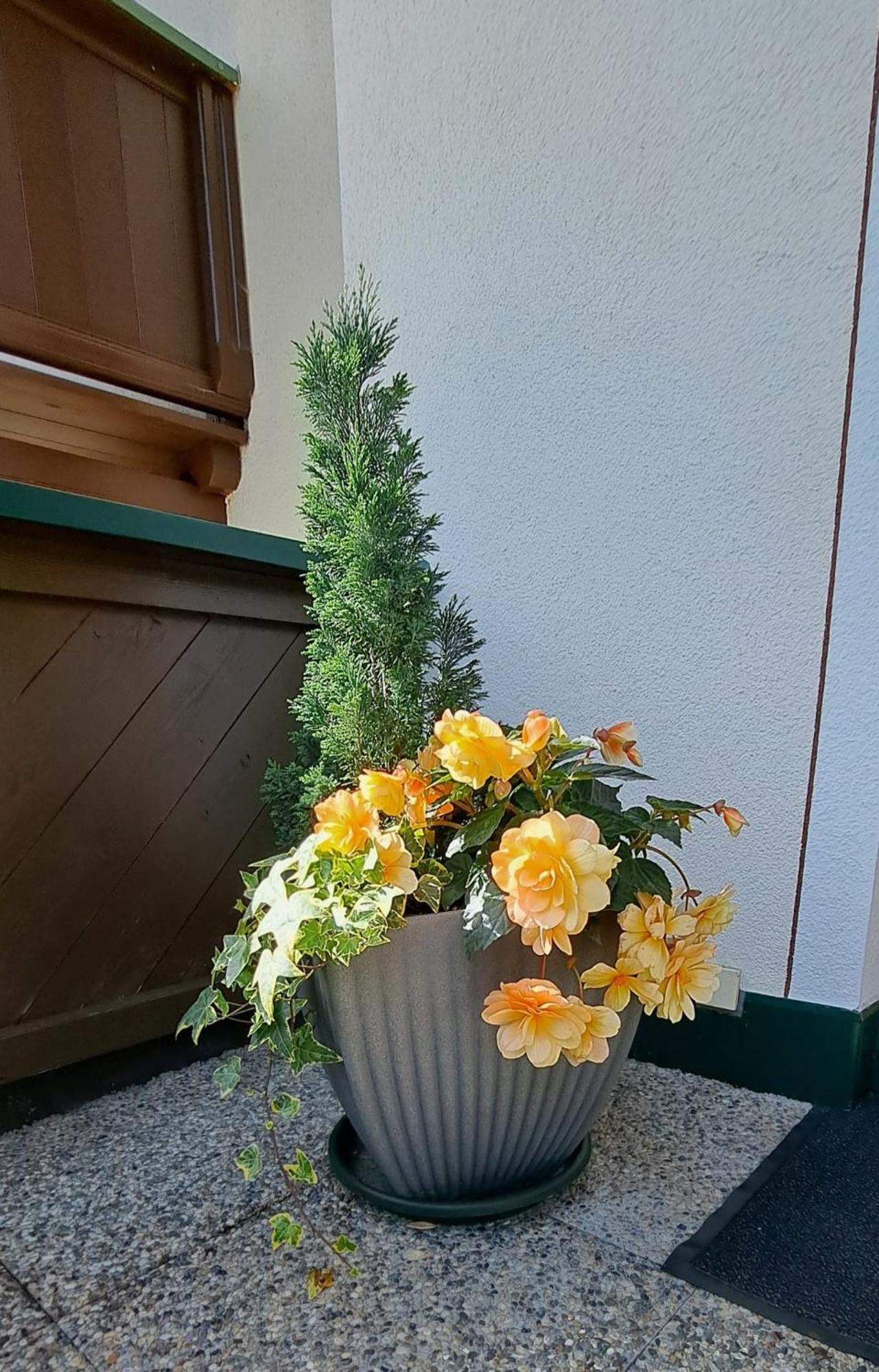 Ferienwohnung Steinberger Hippach Kültér fotó